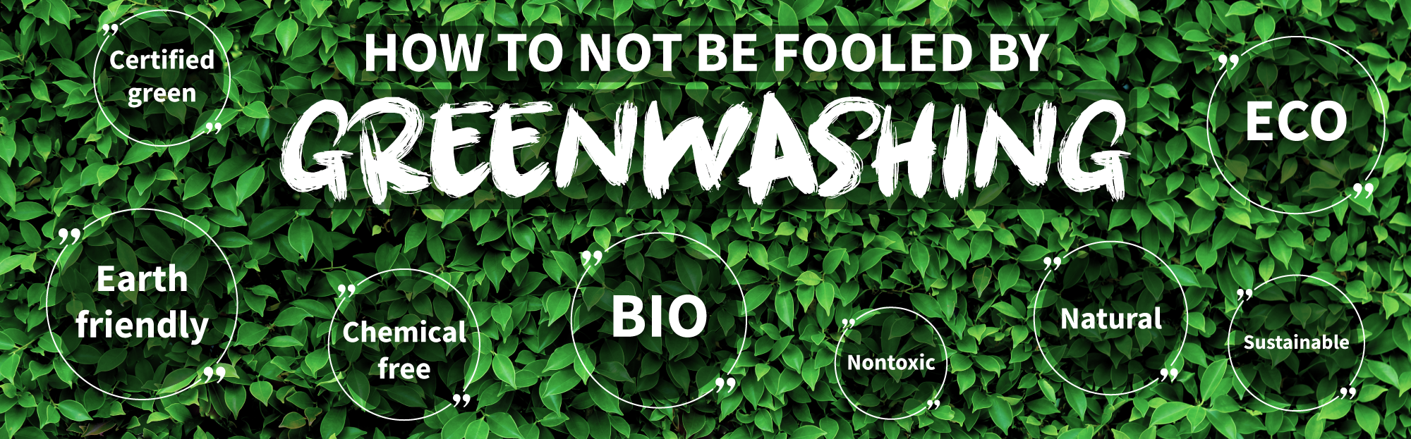 Grønt banner med teksten: How to not be fooled by greenwashing