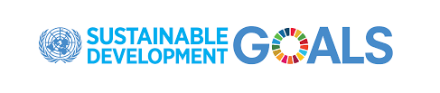 Icon for the UN`s global goals for sustainable development