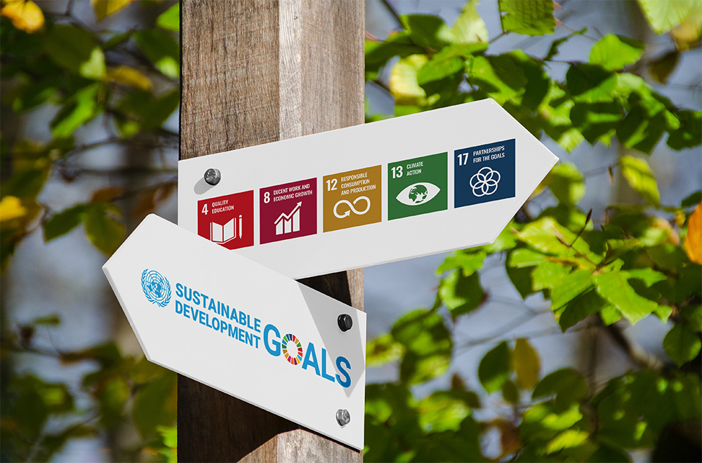Icon for the UN Sustainable Development Goals